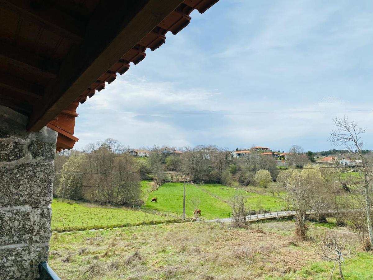 Casinha Da Ti'Augusta Villa Lamego Ngoại thất bức ảnh